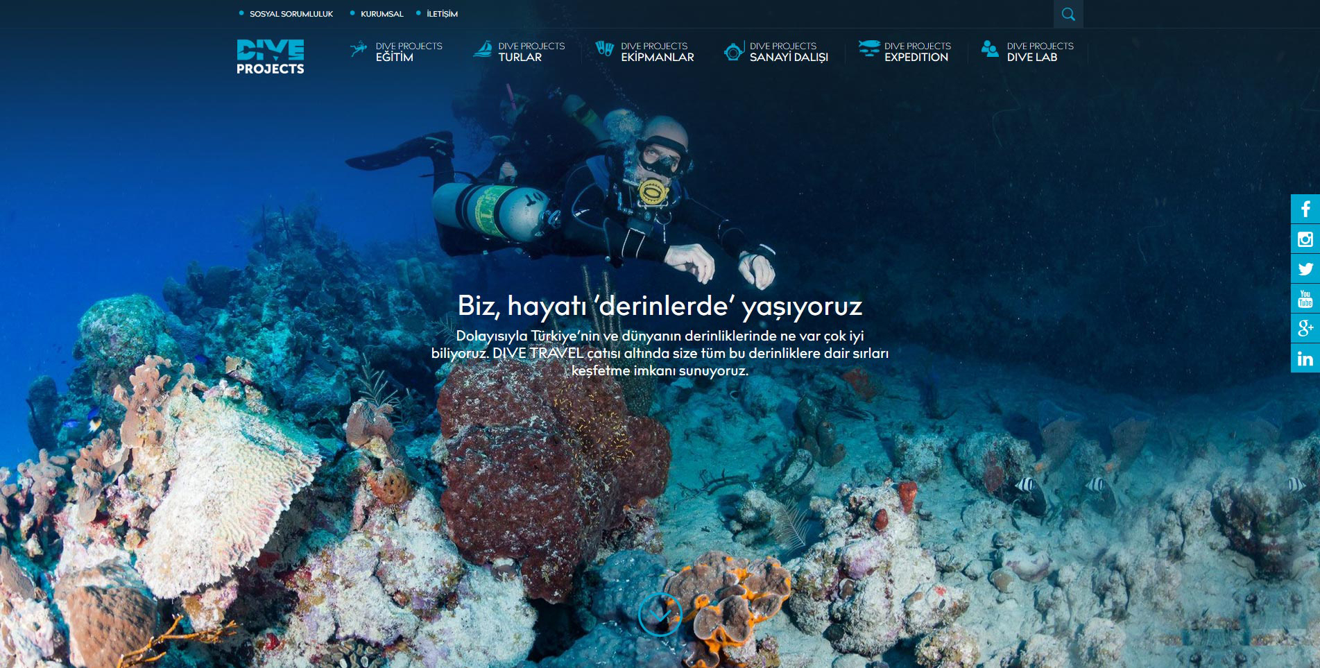 Dive Projects